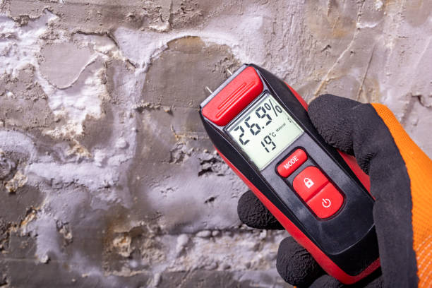 Best Mold Testing  in Nahunta, GA