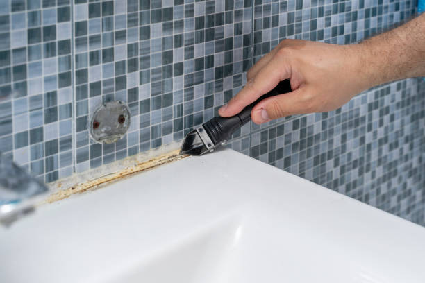 Mold Testing and Removal in Nahunta, GA