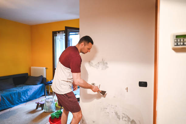 Home Mold Removal in Nahunta, GA